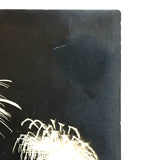 Black Sky, Exploding Fireworks, Gorgeous Earlier 20th Century Silver Print