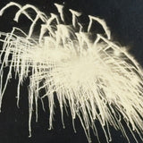 Black Sky, Exploding Fireworks, Gorgeous Earlier 20th Century Silver Print
