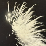 Black Sky, Exploding Fireworks, Gorgeous Earlier 20th Century Silver Print