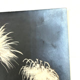 Black Sky, Exploding Fireworks, Gorgeous Earlier 20th Century Silver Print