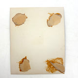 Black Sky, Exploding Fireworks, Gorgeous Earlier 20th Century Silver Print