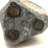 Mother Bear and Climbing Cub, Signed Inuit Stone Carving, 1969 (with Marble Base)