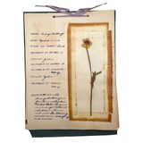 Charming C. 1930s Herbarium, 20 Specimens Preserved Under Wraps with Handwritten Descriptions
