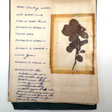 Charming C. 1930s Herbarium, 20 Specimens Preserved Under Wraps with Handwritten Descriptions