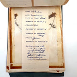 Charming C. 1930s Herbarium, 20 Specimens Preserved Under Wraps with Handwritten Descriptions