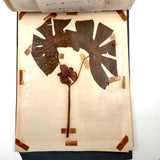 Charming C. 1930s Herbarium, 20 Specimens Preserved Under Wraps with Handwritten Descriptions