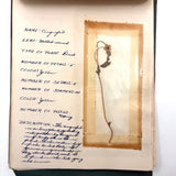 Charming C. 1930s Herbarium, 20 Specimens Preserved Under Wraps with Handwritten Descriptions