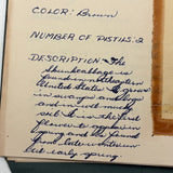 Charming C. 1930s Herbarium, 20 Specimens Preserved Under Wraps with Handwritten Descriptions