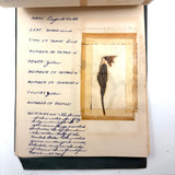 Charming C. 1930s Herbarium, 20 Specimens Preserved Under Wraps with Handwritten Descriptions