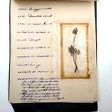 Charming C. 1930s Herbarium, 20 Specimens Preserved Under Wraps with Handwritten Descriptions