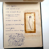 Charming C. 1930s Herbarium, 20 Specimens Preserved Under Wraps with Handwritten Descriptions