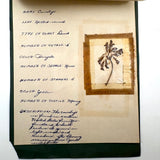 Charming C. 1930s Herbarium, 20 Specimens Preserved Under Wraps with Handwritten Descriptions