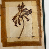 Charming C. 1930s Herbarium, 20 Specimens Preserved Under Wraps with Handwritten Descriptions