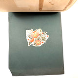 Charming C. 1930s Herbarium, 20 Specimens Preserved Under Wraps with Handwritten Descriptions