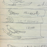 Sweet Old Composition Notebook with Scattered Delights