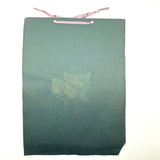 Charming C. 1930s Herbarium, 20 Specimens Preserved Under Wraps with Handwritten Descriptions