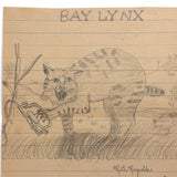 Bay Lynx (with trapped claw),  Ruth Reynold 1930s Graphite Drawing
