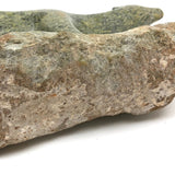 Finely Carved Inuit Green Serpentine Stone Polar Bear (Henry Evaluardjuk?)