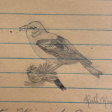 Ruth Reynold's Six Sweet Bird Drawings