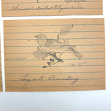 Ruth Reynold's Six Sweet Bird Drawings
