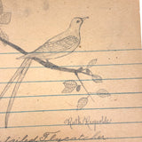 Ruth Reynold's Six Sweet Bird Drawings