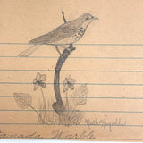 Ruth Reynold's Six Sweet Bird Drawings
