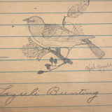 Ruth Reynold's Six Sweet Bird Drawings