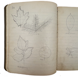 Sweet Old Composition Notebook with Scattered Delights