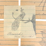 Ruth Reynold's Six Sweet Bird Drawings