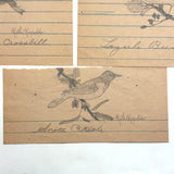 Ruth Reynold's Six Sweet Bird Drawings