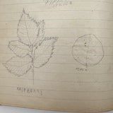 Sweet Old Composition Notebook with Scattered Delights