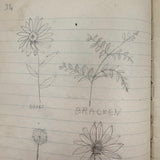 Sweet Old Composition Notebook with Scattered Delights