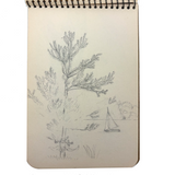 Building a Log Cabin and Observing the Environs, 1953 Spiral Bound Pocket Sketchbook