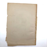 Early 20th C. Fold Out Illustration: Head and Brain