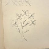 1909 Dutch School Notebook with Naive Drawings, Star Diagrams and More