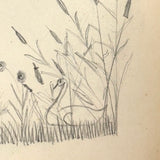 1909 Dutch School Notebook with Naive Drawings, Star Diagrams and More