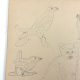 1909 Dutch School Notebook with Naive Drawings, Star Diagrams and More