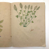 Early 1940s French School Drawings Notebook: Animals, Flowers, Houses, Extras