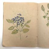 Early 1940s French School Drawings Notebook: Animals, Flowers, Houses, Extras