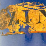 ZINCO, Gorgeous Large 19th Century Ironstone Apothecary Jar with Hand-painted Label Over Gold Leaf