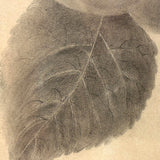 Pears on Branch, Lovely 1868 Graphite Drawing, Framed as Found