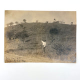 San Juan Hill Charged by Americans, (Cuba, Spanish-American War, 1898), Beautiful, Resonant Antique Photograph