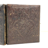 Young Woman with Book and Tree, Evocative Early, Hand-colored, Degraded Cased Ambrotype
