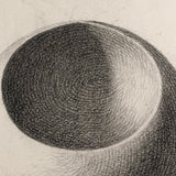 1858 Graphite Form and Shading Studies, Sold Individually
