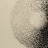 1858 Graphite Form and Shading Studies, Sold Individually