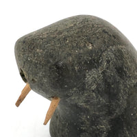 Inuit Walrus Head with Tusks and Nice Vein in Stone (Small Chip)