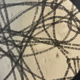 Striking C. 1940s  Century Micrograph of Algae Filaments, Signed Gene Gaines