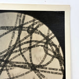 Striking C. 1940s  Century Micrograph of Algae Filaments, Signed Gene Gaines