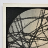 Striking C. 1940s  Century Micrograph of Algae Filaments, Signed Gene Gaines