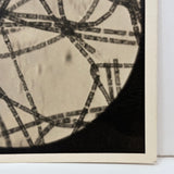 Striking C. 1940s  Century Micrograph of Algae Filaments, Signed Gene Gaines
